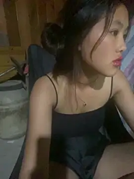 hoa_mai