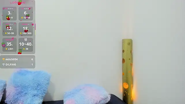 Lindsey8 webcam