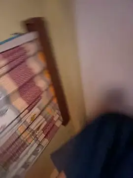 GunSlay webcam