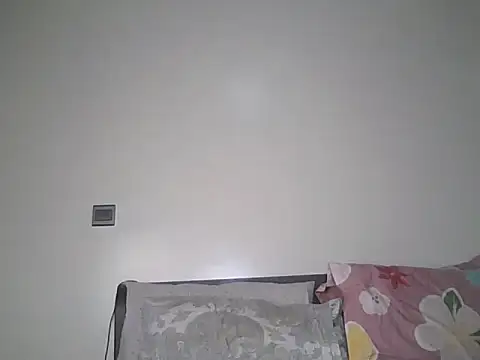 Alevic_ webcam