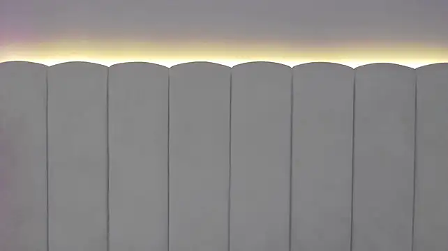 EvaBlunnsh_ webcam