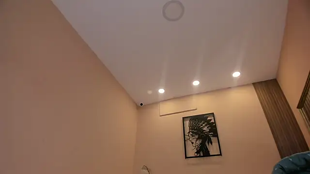 ale_cam