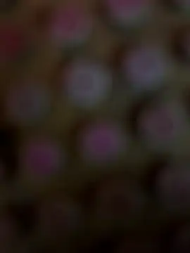 wasntevenme