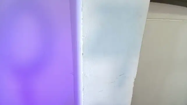 Carolynfoster_