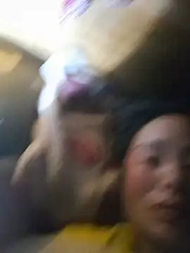 zanh99 live cam on StripChat