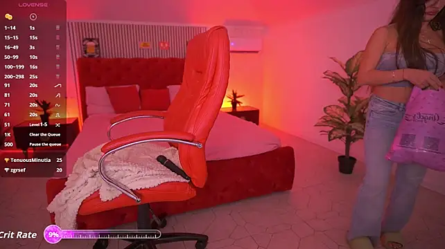 MadissonSoft webcam
