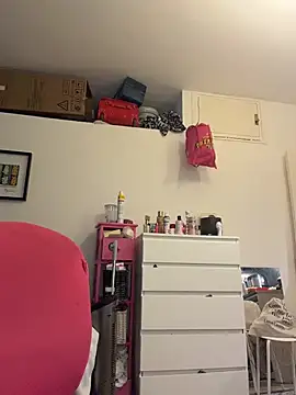 ladyturtle