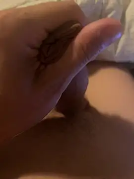 Lebarbu69020 webcam