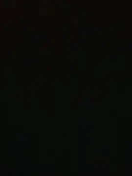 PINO_pino_01