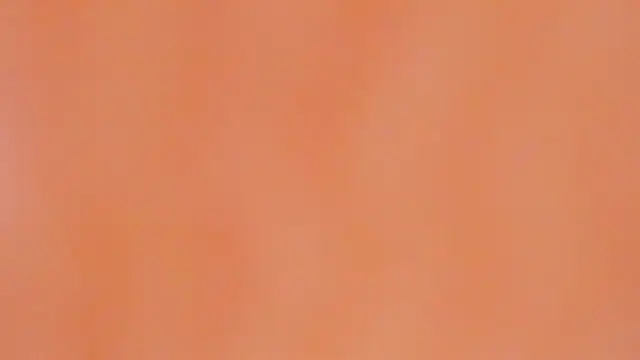 Karina_chastillo