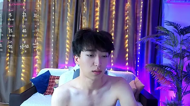 DianInav webcam