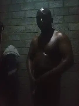 WiseDi