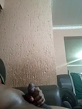 Vele081