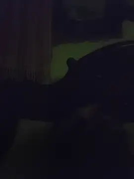 Danitwink23