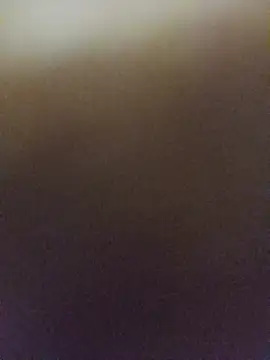 DuduZaunN2