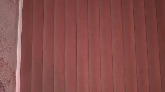 AlissonNova