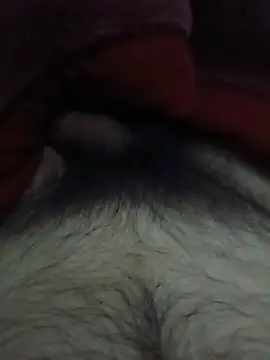 luan94luan