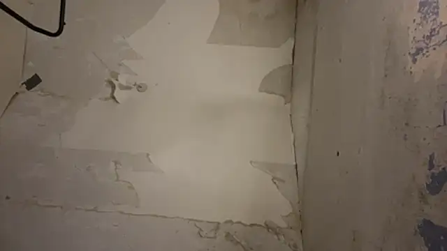 VersGuy7