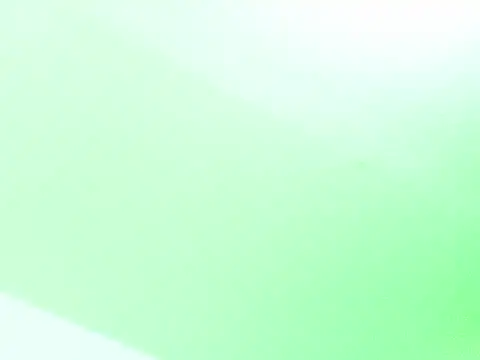 switch_fenix
