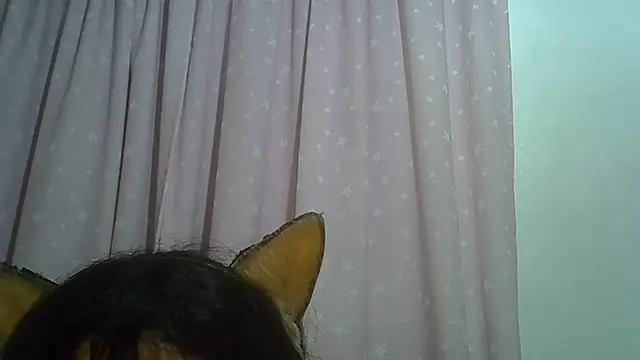 SkinnyKitten