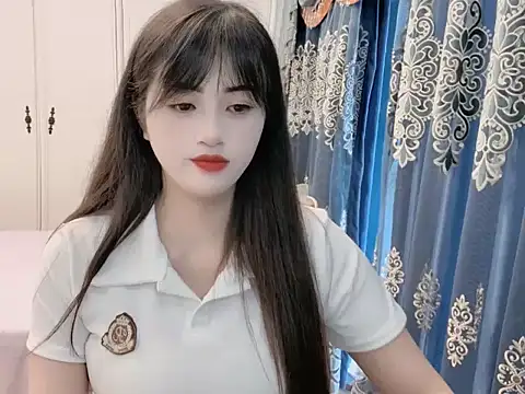sjsibi live