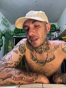 N3N3_SINS