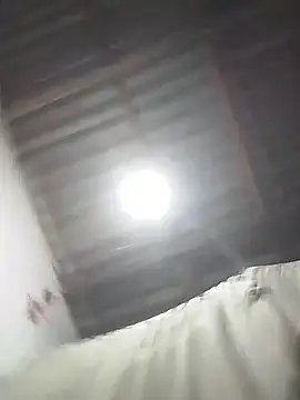roludoogato