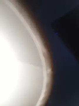 sexboybwc_assfucker