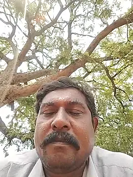 ApposedBearingtamilnadu
