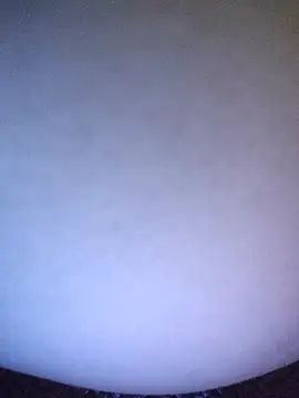 Hara_lusia83