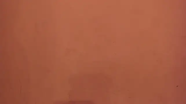 Mia_Tailor_Bms