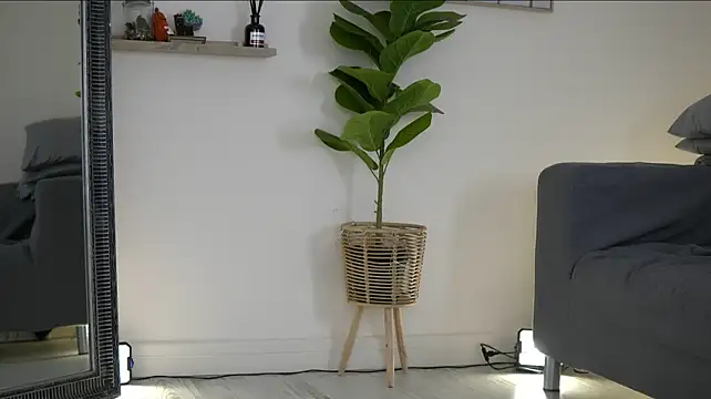 AshleyVox