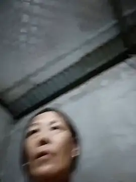 toyo_668