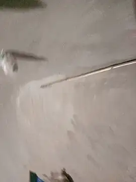 Hazel9z live cam preview