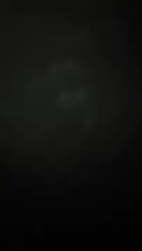 Cositarica_69
