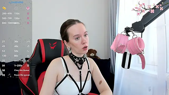Vulgar_Tamer