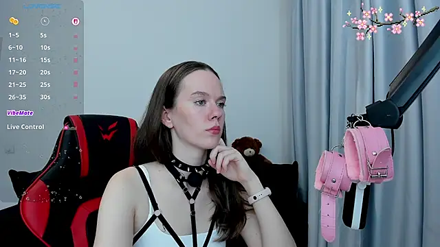 Vulgar_Tamer