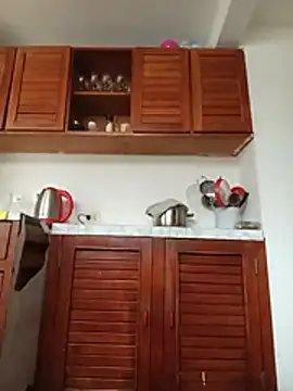 tata_sanz_