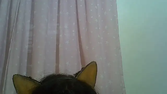 SkinnyKitten