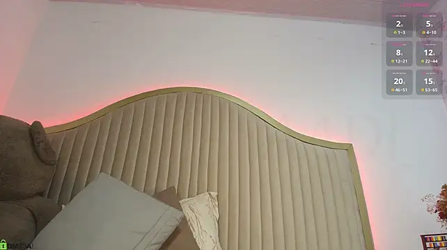 dalilasaadi_ webcam