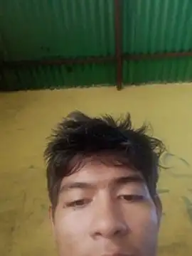 StreamedEndoderm