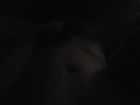 drewbigd253
