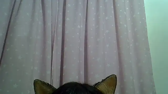 SkinnyKitten