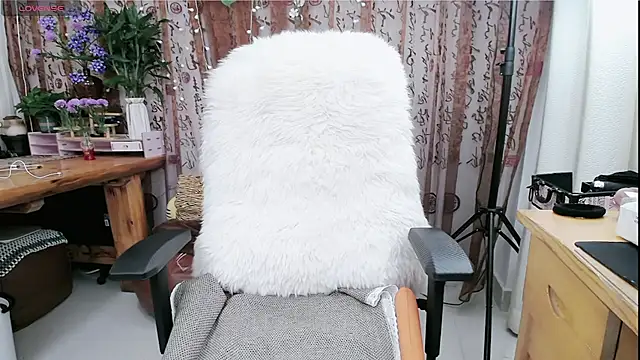 amysasa