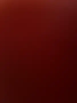 Ariana_Falagan