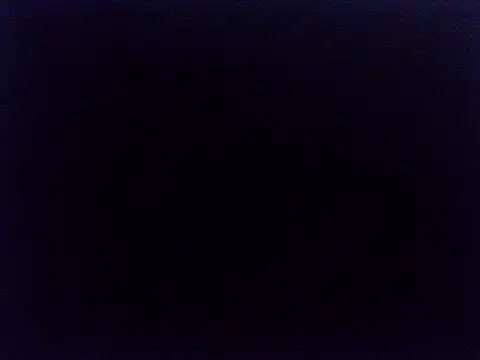 Ario1