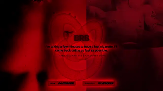 davesinner webcam