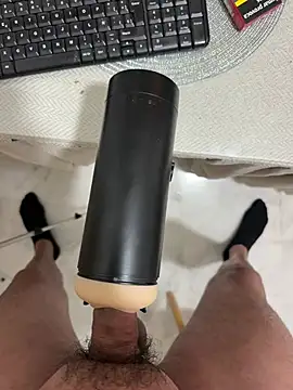 pigboybi