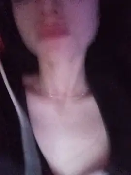 DiamondSien webcam