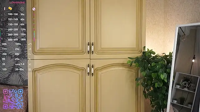 caroleemir's live room